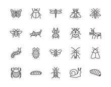 Insect Flat Line Icons Set. Butterfly, Bug, Dung Beetle, Grasshopper, Cockroach, Scarab, Bee, Caterpillar Vector Illustrations. Outline Signs For Insects Pest. Pixel Perfect 64x64. Editable Strokes