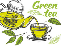 Green Tea, Cup Of Tea And Teapot Isolated On White Background Hand Drawn Vector Illustration Realistic Sketch