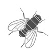 Drosophila fly silhouette on white background. Vector icon.