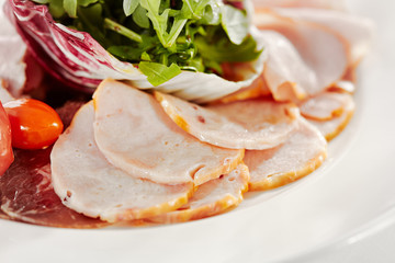 Canvas Print - Gourmet, restaurant, delicious dinner food - close up of Sliced Meats with Rocket Salad and Tomatoes