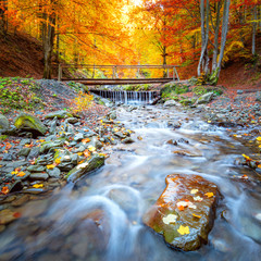 Wall Mural - colorful autumn in forest - yellow orange trees, small wooden bridge and fast river with stones