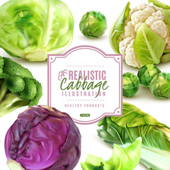 Sticker - Realistic Cabbage Frame