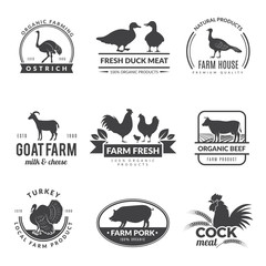 Canvas Print - Farm animals logo. Cow sheep goat symbols for fresh healthy food of farmers vector collection. Illustration cow and ostrich farming