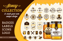 Vector Honey Collection
