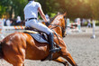 © skumer - Young male horse rider on show jumping competition