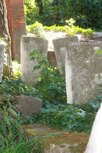 Old Jewish Cemetery. Jewish Graves And Monuments