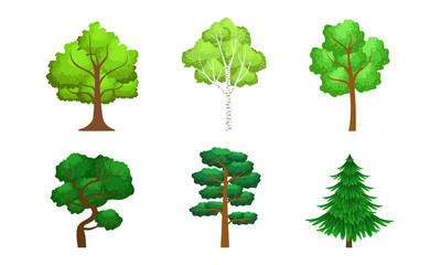 Canvas Print - Collection of Green Coniferous and Deciduous Trees, Summer Landscape Design Elements Vector Illustration