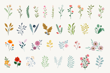 set of floral elements for graphic and web design. vector illustrations for beauty, fashion, natural