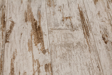 Sticker - Wood texture. Wood texture for design and decoration