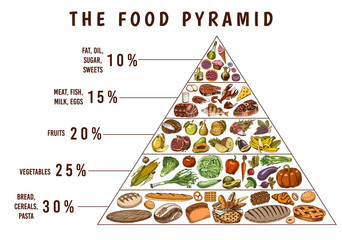 Healthy food plan pyramid. Infographics for Balanced Diet percentage. Lifestyle concept. Ingredients for meal plan. Nutrition guide. Hand drawn in vintage style.