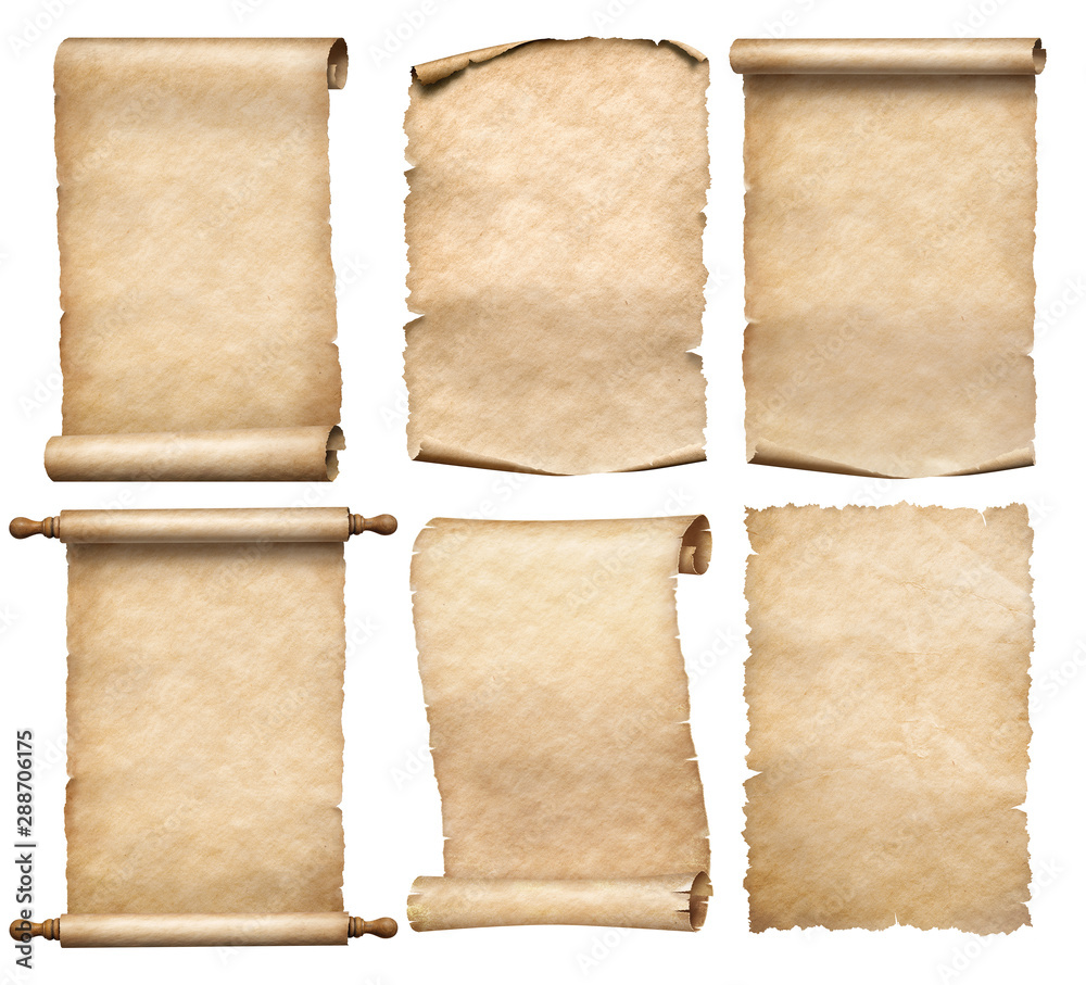 old papers or parchment six scrolls or parchments set isolated - obrazy, fototapety, plakaty 