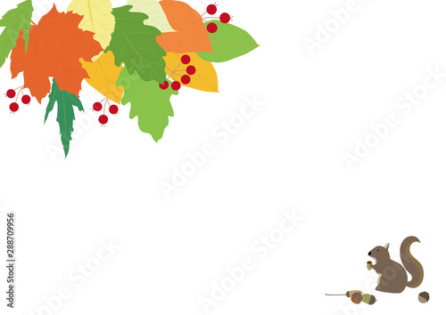 秋色の葉っぱとリスとどんぐりのフレームイラスト Stock Vector Adobe Stock