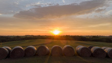 Sunrise Over Rows Of Round Hay Bales In A Rural Countryside Field