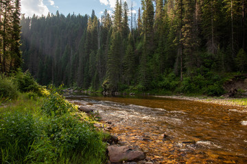 Small mountain river in the forest.