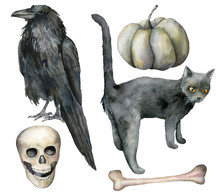 Watercolor Halloween Set With Crow And Cat. Hand Painted Holiday Set With Pumpkin, Scull And Bone Isolated On White Background. Illustration For Design, Print Or Background.