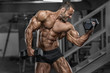 Hard Core Bodybuilding. Handsome Bodybuilder Workout at the Gym