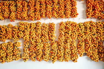 Sticker - Cherry tomatoes hanging on the wall in the south of Italy