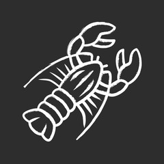 Poster - Lobster chalk icon. Seafood restaurant menu. Swimming marine animal with pincers. Delicacy food. Underwater fauna. Aquatic creature. Undersea inhabitant. Isolated vector chalkboard illustration