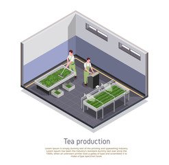 Wall Mural - Tea Production Isometric Composition