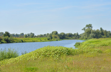 Canvas Print - River at sunny day.