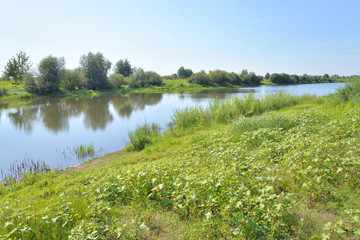 Canvas Print - River at sunny day.