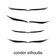 condor bird design silhouette vector