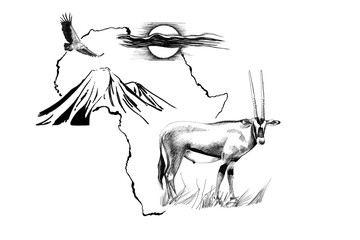 Gemsbok antelope (Oryx gazella) on Africa map background with Kilimanjaro mountain, vulture and sun