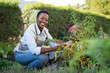 © Rido - Satisfied woman working at vegetable garden