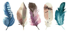 Set Of Watercolor Feathers