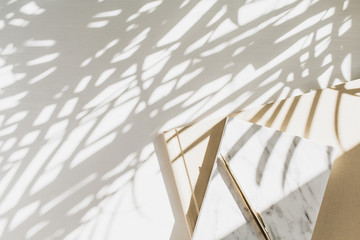 Wall Mural - Home office workspace background with notebook on white background with plant shadow. Flat lay, top view minimal lady boss lifestyle concept.