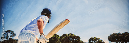 Fotografía Side view of cricket player batting while playing on field