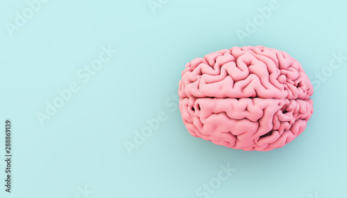 Fotomural minimal pink brain on blue background