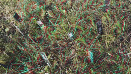 Abstract Cyber Hallucinations - RAM Random Access Memory is growing from soil in grass.