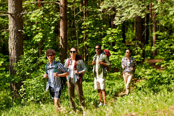 Sticker - travel, tourism, hike and people concept - group of friends walking with backpacks in forest