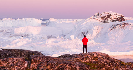 Wall Mural - global warming - greenland iceberg landscape of ilulissat icefjord with giant icebergs. icebergs fro