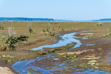 nisqually wetlands mud flats 2