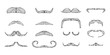 © Olha - Set of isolated doodle style moustache sketch in vector