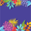 Colorful Flowers Background