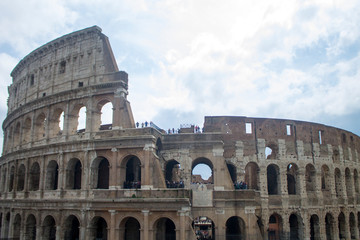 Wall Mural - colosseum in rome italy