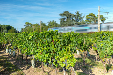 Poster - Un train traverse la campagne  Française , direction Bordeaux