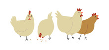 Cute Farm Chicken Hen Bird Group Isolated