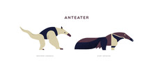 Wild Anteater Isolated Animal Cartoon Set