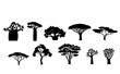 Vector Exotic Trees Silhouettes Set