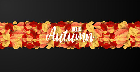 Wall Mural - Abstract colorful leaves decorated  background for  Hello Autumn advertising header or banner design.  Vector Illustration.