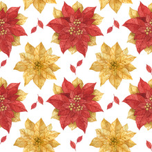 Christmas Red Gold Poinsettia, Traced Watercolor Seamless Pattern, White Background
