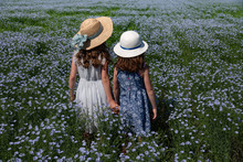 Close Up Of Two Young Gils Holding Hands In A Field Of Flowers