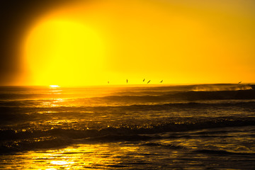 Poster - Outer Banks