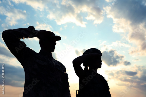Cuadros en Lienzo Soldiers in uniform saluting outdoors. Military service
