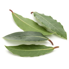 Wall Mural - Aromatic bay leaves