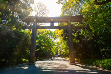 Wall Mural - torii, a wooden post at the entrance of the shinto shrine in the morning, with the sun shining.